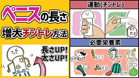 ちんこ大きくする|【泌尿器科医が解説】ペニス増大トレーニング（チントレ）は効。